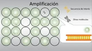 PCR digital (dPCR): Conceptos Básicos