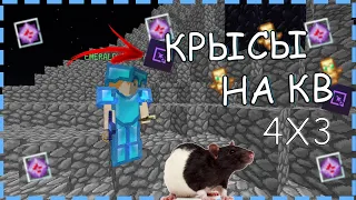 🍇Крысы на кв Jetmine🍇 Кв, замесы. Бахаю криссталы Много рессов!!