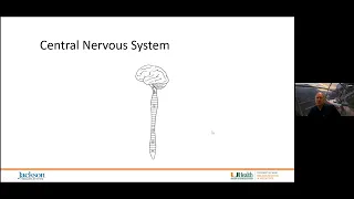 Respiratory Dysfunction after Spinal Cord Injury (SCI)