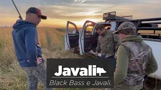 Caçada de javali - Black Bass e Javali. -  wild boar hog