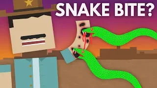 What If a Venomous Snake Bites You? - Dear Blocko #8