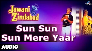 Jawani Zindabad : Sun Sun Sun Mere Yaar Full Audio Song | Aamir Khan, Farah Khan |