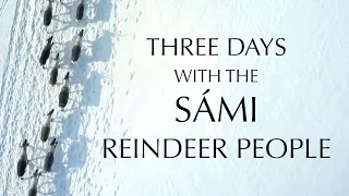 Three Days with the Sámi Reindeer People [Swedish Lapland]