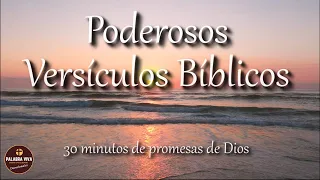 Versículos Bíblicos de paz, ánimo y esperanza | Biblia en audio | Salmos 91, 23, 121 y más