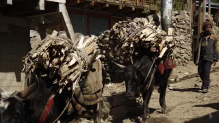 eChievement Award - George Basch - Himalayn Stove Project