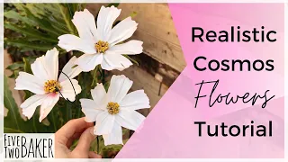 How to Make a Realistic Gumpaste Cosmos Flower from Beginning to End ⎜Sugarpaste Flower Tutorial