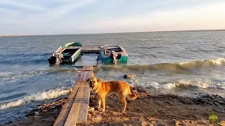 Озеро Аджи Папас. Мир птиц .Дагестан