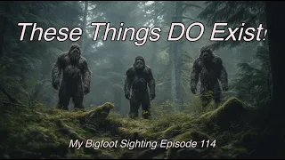 These Things DO Exist! - My Bigfoot Sighting Episode 114