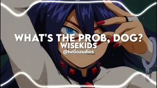 What's the Prob, Dog - WISEKIDS (edit audio)