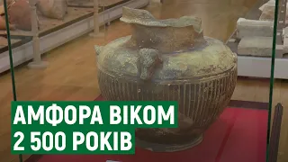 Миколаївські археологи розповіли про амфору віком у 2 500 років