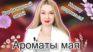 АРОМАТЫ МАЯ/ПАРФЮМЕРНЫЙ ЗАПОЙ/МАЙ 2023