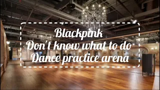 Blackpink don't know what to do Dance practice arena✨✨✨✨II Aesthetic_angel @Aesthetic_angel999