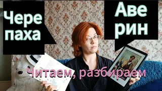 Читаем, разбираем. Черепаха и Граф Аверин