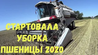 УБОРКА ОЗИМОЙ ПШЕНИЦЫ 2020!!!АКРОС580 ВЕКТОР410