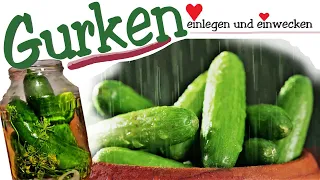 Gurken einlegen | Gewürzgurken | Spreewald Gurken | Senfgurken | Gurken einwecken und haltbarmachen