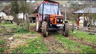 Zetor 6245 & Zetor 5245 - Hauling Manure IN EXTREME CONDITIONS! Mud and rain!