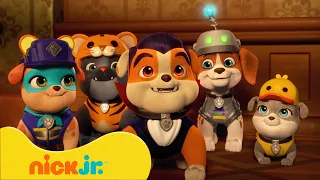 Rubble e Sua Turma | Construções no Quintal com Rubble e Motor! | Nick Jr. em Português