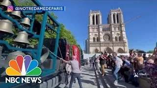 14th-Century Sarcophagus Found During Notre Dame Renovation