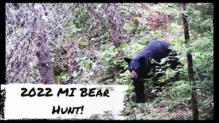 Michigan public land Bear Hunt, Baraga Unit 2022!