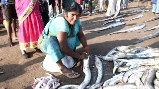 EEL FISH CUTTING BY INDIAN VILLAGE LADY|BEST CUTTING|LIVE EEL