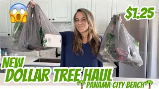 DOLLAR TREE HAUL | NEW | PANAMA CITY BEACH | NEW BRAND NAME ITEMS