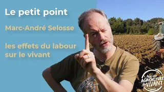 Le petit point avec Marc-André Selosse : labour, quelles conséquences ?