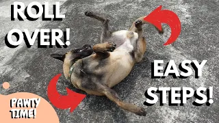 Teach Your Dog To Roll Over With 3 Simple Steps!