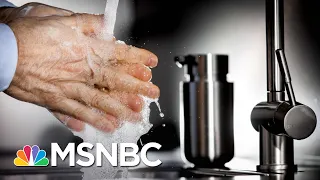 Virus Expert Explains How To Protect Yourself From Coronavirus | The 11th Hour | MSNBC