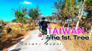 CHIAYI 2 🌳 Planting life in a travel destination is ⭐️ TAIWAN 11