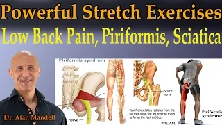 4 Powerful Stretch Exercises for Low Back Pain, Piriformis, Sciatica - Dr Mandell