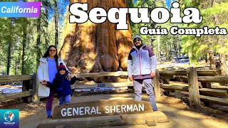 Parque Nacional Sequoia en un día! Guía Completa de Viaje en español | #California 8