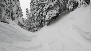 Powder | Arizona Snowbowl February 7, 2024