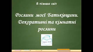 Я пізнаю світ 2 клас Урок 213