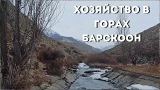 Форелевое хозяйство в горах Иссык Куля.