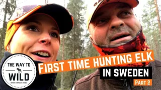 Älgjakt Elk hunt Dalarna 19 Part 2