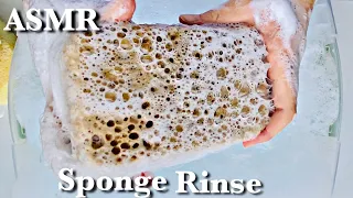 ASMR - Soapy Sponge Squeeze & Rinse