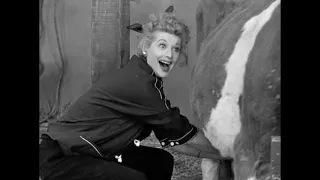 "I LOVE LUCY" - National Milk Day ("Lucy's Bicycle Trip")