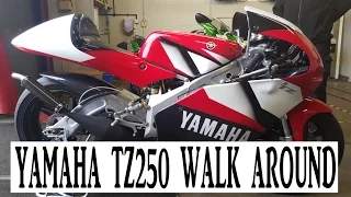 2003 YAMAHA TZ250 WALK AROUND