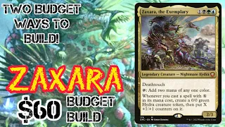 Which Is The Best Way To Build Zaxara The Exemplary?