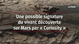 Une possible signature du vivant découverte sur Mars par « Curiosity »