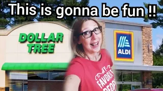 DOLLAR TREE HAUL | ALDI | COME WITH ME FOR SHOPPING, FOOD & FUN