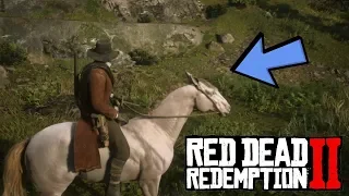 Новая лошадь в RDR 2 | Андалузская перлино