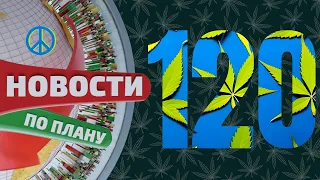 BAC призёр Spannabis. Косяк за 43 сек. Майк Тайсон открыл кафе в Амстердаме. Новости по плану №120