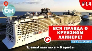 #14 Вся правда о круизном лайнере! ТрансАтлантика + Карибы | Кругосветка без перелётов Большой  Круг