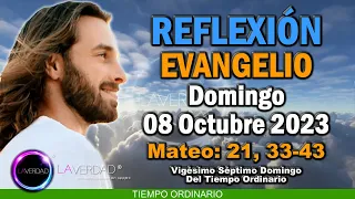 REFLEXIÓN DEL EVANGELIO DEL DÍA DOMINGO 8 DE OCTUBRE 2023 / MATEO 21, 33-43 / CATÓLICA