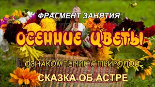 ОСЕННИЕ ЦВЕТЫ Фрагмент занятия по ознакомлению с природой