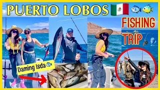 FISHING IN PUERTO LOBOS MEXICO 🇲🇽 THE MOST REMOTE PART OF MEXICO | (Is it safe there?)