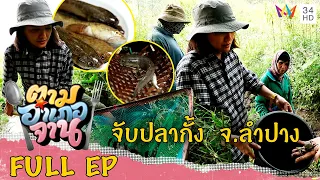 วิดน้ำหา 'ปลากั้ง' บ้านโป่งหลวง จ.ลำปาง | ตามอำเภอจาน | 22 เม.ย.66 Full EP