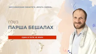 Шаббат 4 февраля 2023 ✡ Один в поле не воин ✡ Парша Бешалах