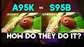 Sony A95K vs Samsung S95B Head to Head QD-OLED Review | Which TV Should You Buy?